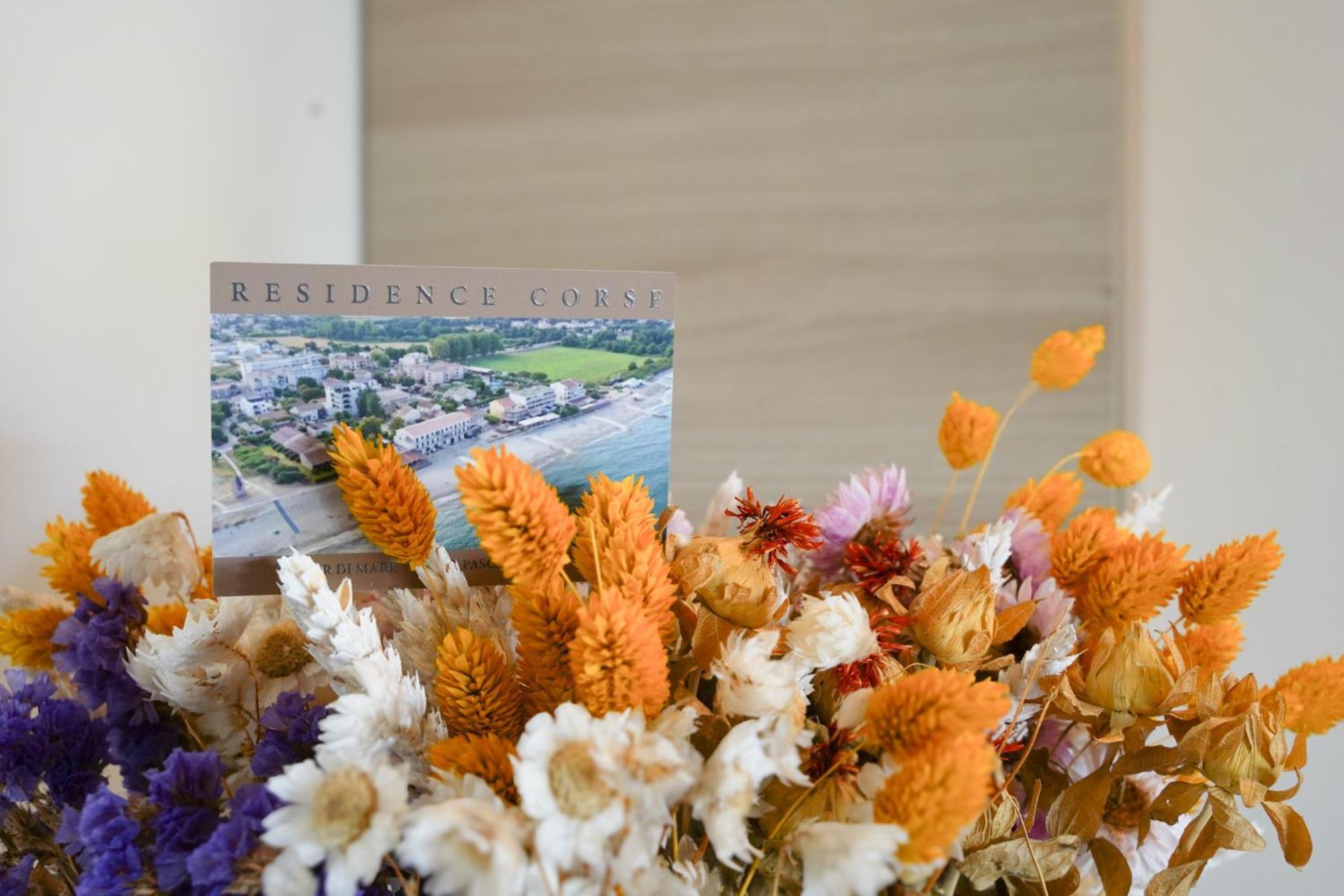 Residence Pascal Paoli Fior Di Mare มอริอานี พลาจ ภายนอก รูปภาพ