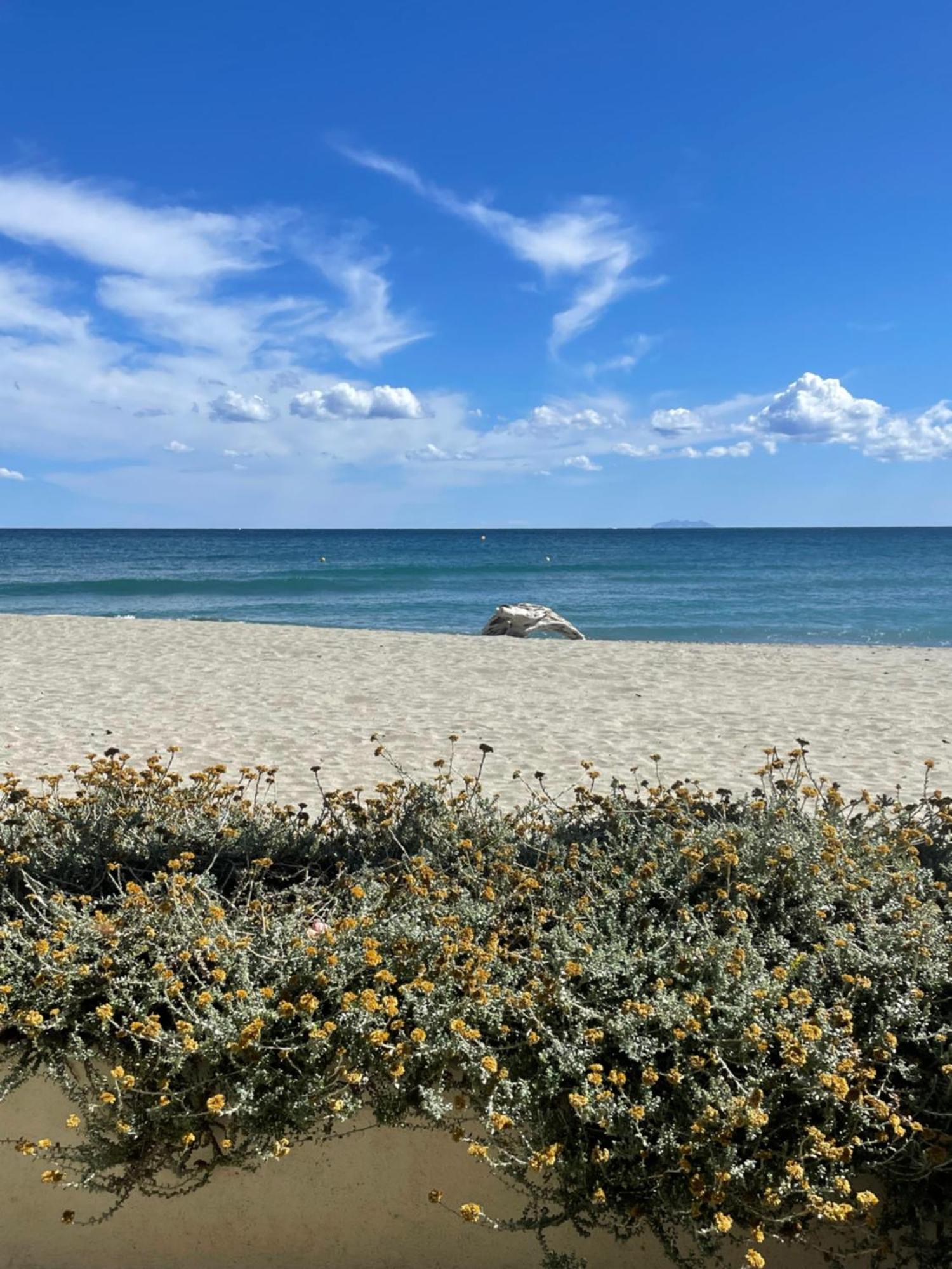 Residence Pascal Paoli Fior Di Mare มอริอานี พลาจ ภายนอก รูปภาพ