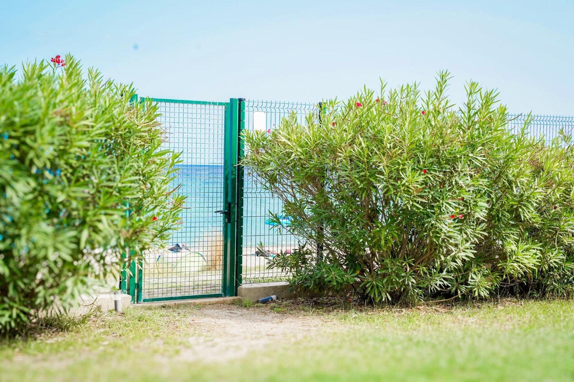 Residence Pascal Paoli Fior Di Mare มอริอานี พลาจ ภายนอก รูปภาพ